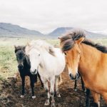 7915开奖结果最新公布,今日开奖号码全面揭晓 0qnvw2g7