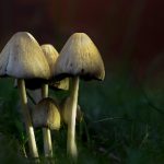 7969开奖结果最新公布,速来查看幸运号码! cingm