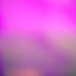 濠博娱乐的游戏种类与玩法解析 s1zlqui621